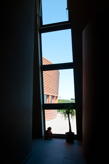 le_don_du_fel_14