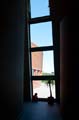 le_don_du_fel_14