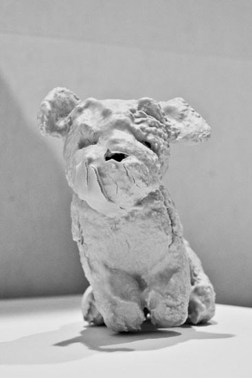 albert_marc_38