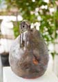 cappe_doris_44