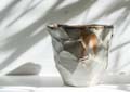 chambaud_heraud_11