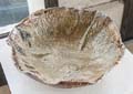 chambaud_heraud_24