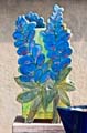 chaussy_06