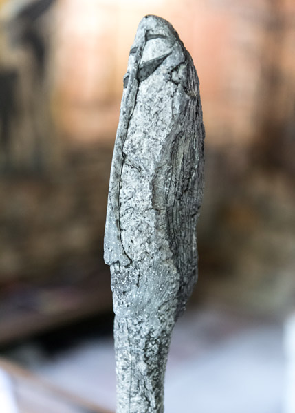 claesen-f_09