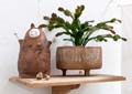 clotuche_sarah_049