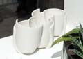 colomba_catherine_12