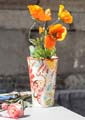 cotonian_moiroux_c_12