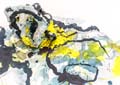 courbet-coralie_16