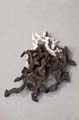 couronne_04