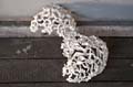 couronne_06