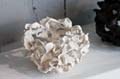 couronne_07