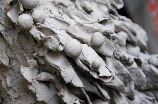 creten_05
