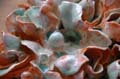 creten_03
