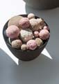 rouby_zelie_47