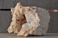 landault_04