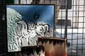 pirot_01